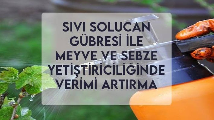 Sıvı Solucan Gübresi ile Meyve ve Sebze Yetiştiriciliğinde Verimi Artırma Sıvı Solucan Gübresi ile Meyve ve Sebze Yetiştiriciliğinde Verimi Artırma
