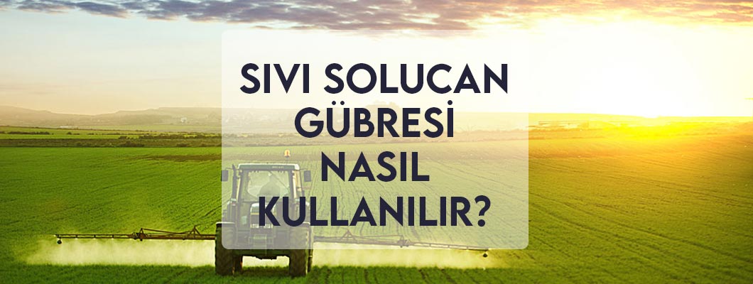 Sıvı Solucan Gübresi Nasıl Kullanılır? Sıvı Solucan Gübresi Nasıl Kullanılır?