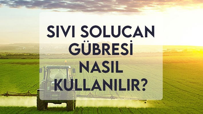 Sıvı Solucan Gübresi Nasıl Kullanılır? Sıvı Solucan Gübresi Nasıl Kullanılır?