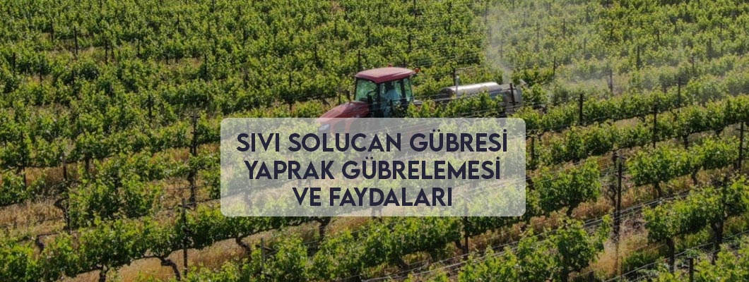 Sıvı Solucan Gübresi Yaprak Gübrelemesi Ve Faydaları Sıvı Solucan Gübresi Yaprak Gübrelemesi Ve Faydaları
