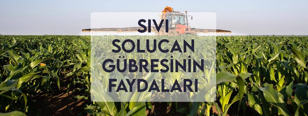 Sıvı Solucan Gübresinin Faydaları Sıvı Solucan Gübresinin Faydaları