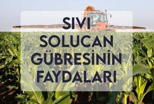 Sıvı Solucan Gübresinin Faydaları