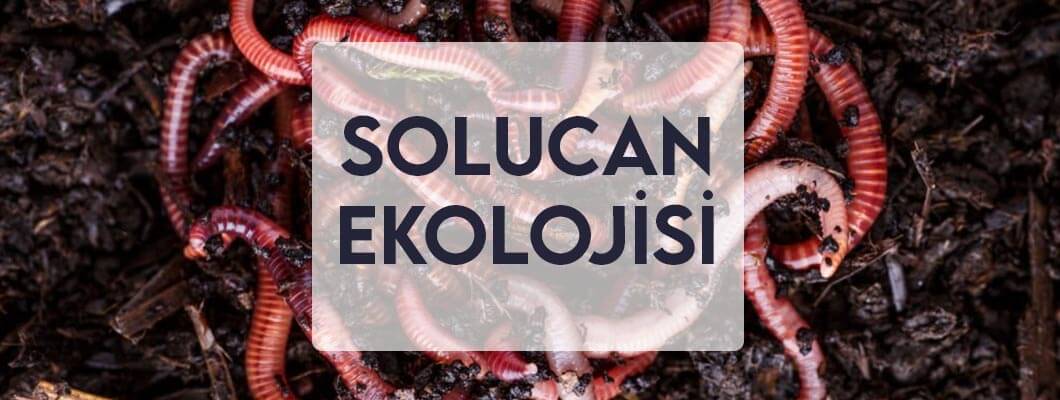 Solucan Ekolojisi Solucan Ekolojisi