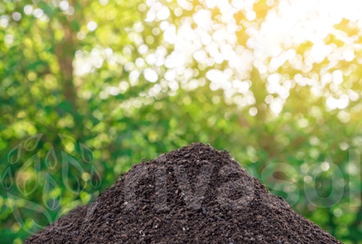 Solucan gübreciliği: Solucan Gübresi Nasıl yapılır, Nasıl satılır?