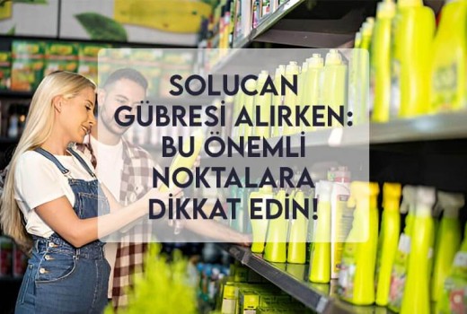 Solucan Gübresi Alırken: Bu Önemli Noktalara Dikkat Edin!