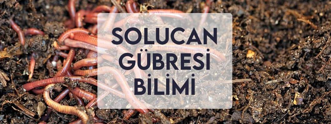 Solucan Gübresi Bilimi Solucan Gübresi Bilimi
