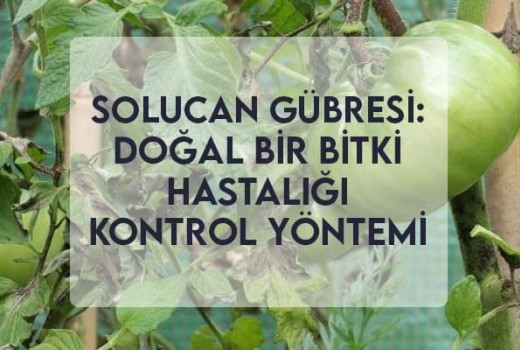 Solucan Gübresi: Doğal Bir Bitki Hastalığı Kontrol Yöntemi