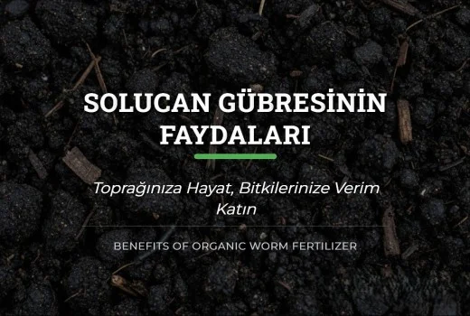 Solucan Gübresinin Faydaları?