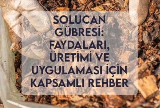 Solucan Gübresi: Faydaları, Üretimi ve Uygulaması İçin Kapsamlı Rehber