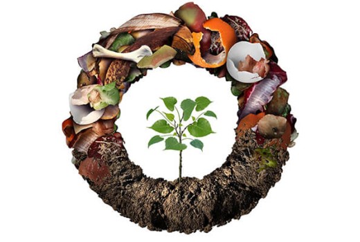 Solucan Gübresi Hakkında Merak Edilenler