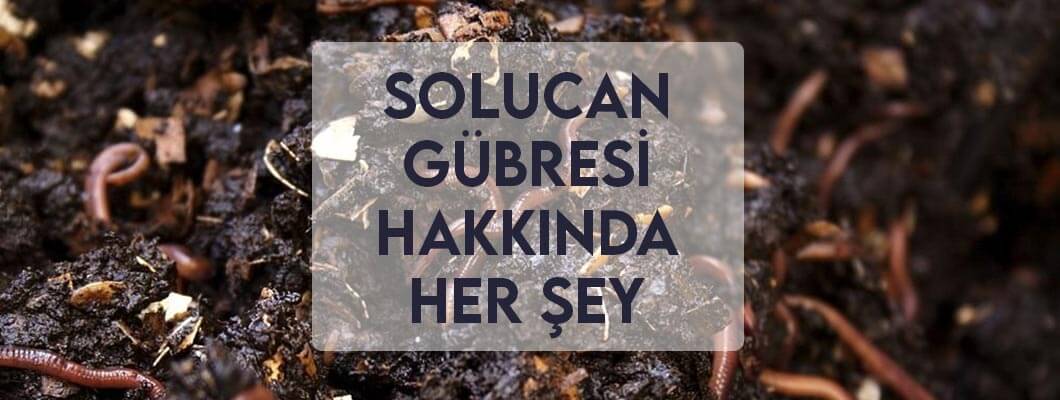 Solucan Gübresi Hakkında Her Şey Solucan Gübresi Hakkında Her Şey