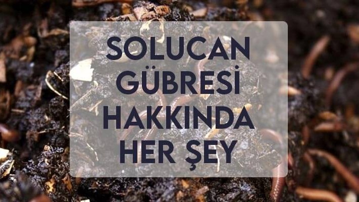 Solucan Gübresi Hakkında Her Şey Solucan Gübresi Hakkında Her Şey