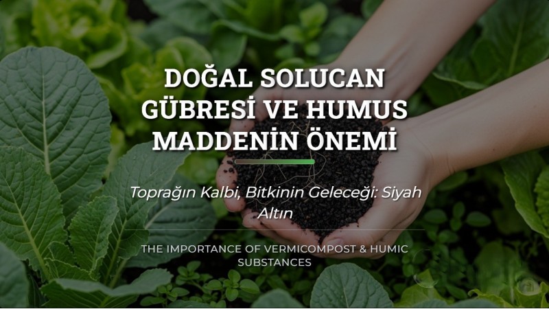 Doğal Solucan Gübresi ve Humus Maddenin Önemi