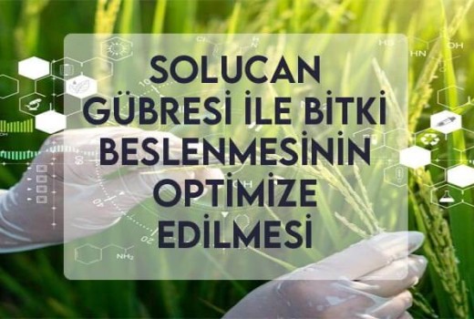 Solucan Gübresi ile Bitki Beslenmesinin Optimize Edilmesi