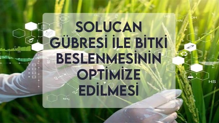 Solucan Gübresi ile Bitki Beslenmesinin Optimize Edilmesi Solucan Gübresi ile Bitki Beslenmesinin Optimize Edilmesi