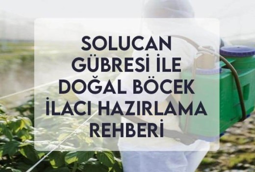 Solucan Gübresi ile Doğal Böcek İlacı Hazırlama Rehberi