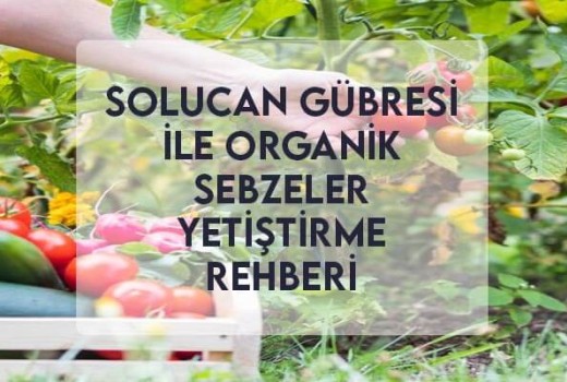 Solucan Gübresi ile Organik Sebzeler Yetiştirme Rehberi