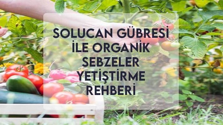 Solucan Gübresi ile Organik Sebzeler Yetiştirme Rehberi