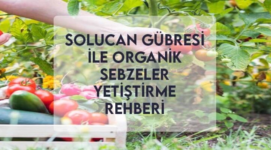 Solucan Gübresi ile Organik Sebzeler Yetiştirme Rehberi