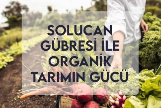 Solucan Gübresi ile Organik Tarımın Gücü
