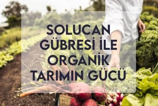 Solucan Gübresi ile Organik Tarımın Gücü