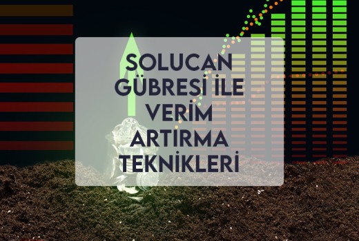 Solucan Gübresi ile Verim Artırma Teknikleri