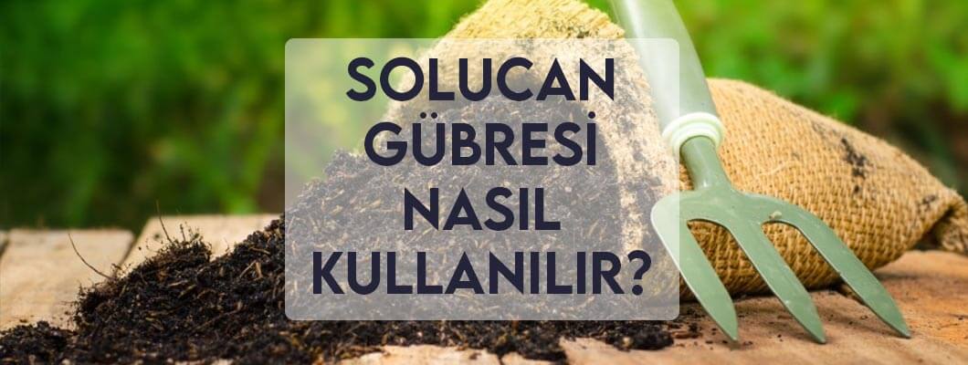 Solucan Gübresi Nasıl Kullanılır? Solucan Gübresi Nasıl Kullanılır?