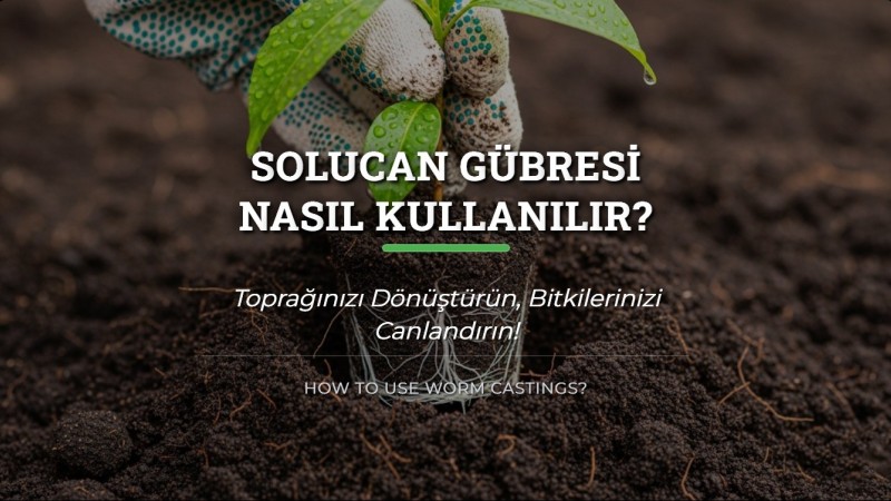 Solucan Gübresi Nasıl Kullanılır?