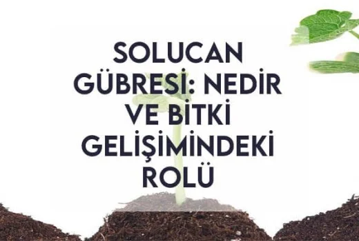 Solucan Gübresi: Nedir ve Bitki Gelişimindeki Rolü