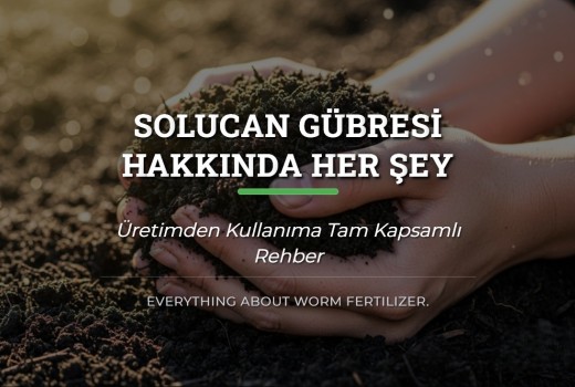 Solucan Gübresi Hakkında Her Şey