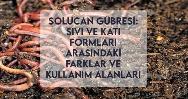 Solucan Gübresi fiyatı