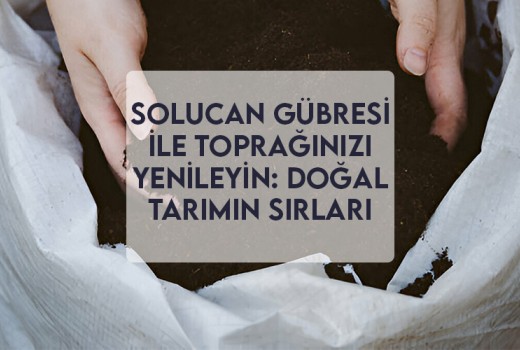 Solucan Gübresi ile Toprağınızı Yenileyin: Doğal Tarımın Sırları