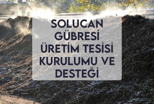 Solucan Gübresi Üretim Tesisi Kurulumu ve Desteği