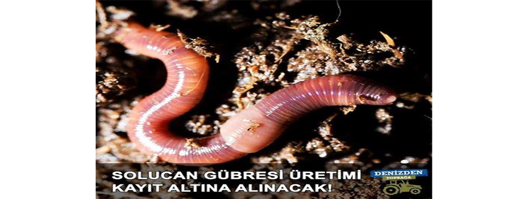 Solucan Gübresi Üretimi Kayıt Altına Alınacak! | Rivasol Solucan Gübresi Üretimi Kayıt Altına Alınacak! | Rivasol