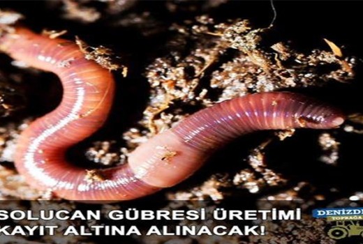 Solucan Gübresi Üretimi Kayıt Altına Alınacak!