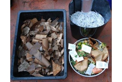 Solucan Gübresi Üretiminde En Sık Görülen Problemlere Çözüm Önerileri | Rivasol