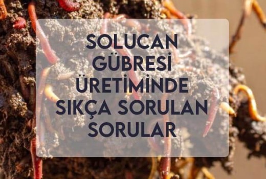Solucan Gübresi Üretiminde Sıkça Sorulan Sorular