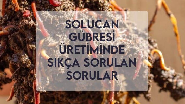 Solucan Gübresi Üretiminde Sıkça Sorulan Sorular Solucan Gübresi Üretiminde Sıkça Sorulan Sorular