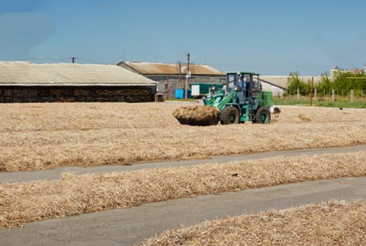 Solucan Gübresi Üretiminde Yol Haritası Nasıl Olmalı