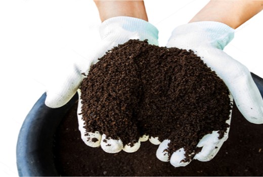 Solucan Gübresi Üretiminde Zaman Kaybetmeden Girişiminizi Belirleyin | Rivasol