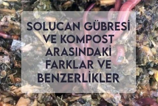 Solucan Gübresi ve Kompost Arasındaki Farklar ve Benzerlikler
