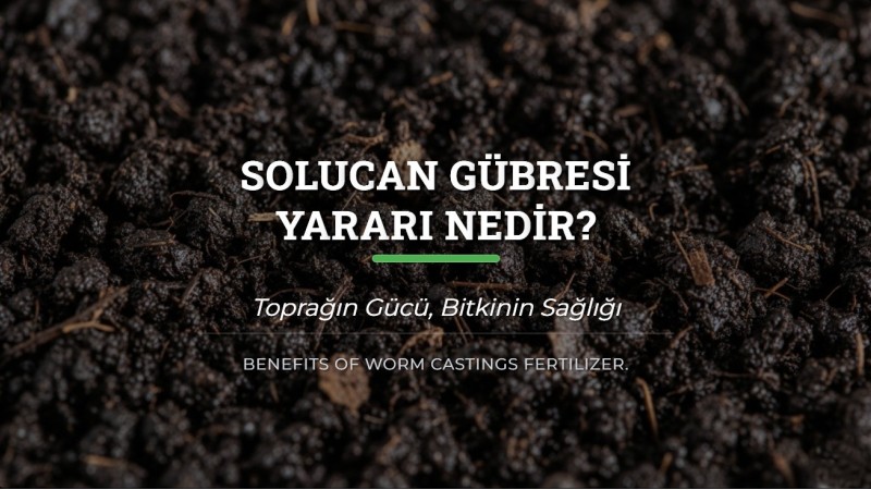 Solucan Gübresi Yararı Nedir ?