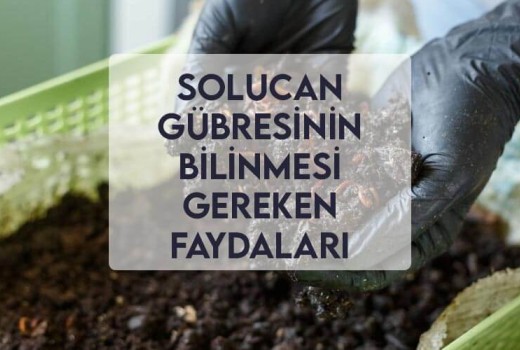 Solucan Gübresinin Bilinmesi Gereken Faydaları