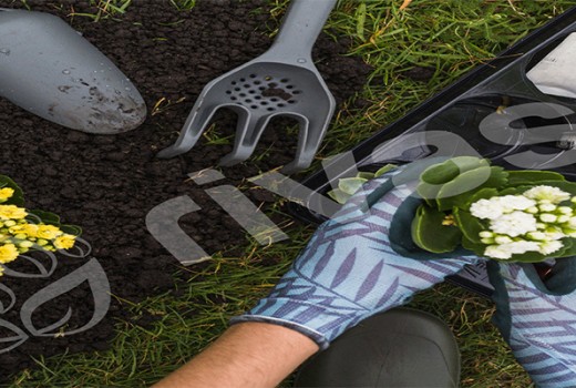 Solucan Gübresinin Bitki Bakımındaki Önemi | Rivasol