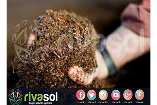 Solucan Gübresinin Tarım ve Toprak Üzerine Etkileri