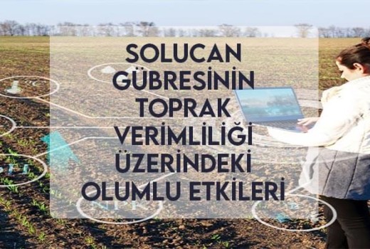 Solucan Gübresinin Toprak Verimliliği Üzerindeki Olumlu Etkileri