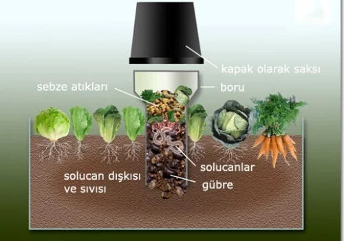 Solucan Gübresi Kulesi Nasıl Yapılır?