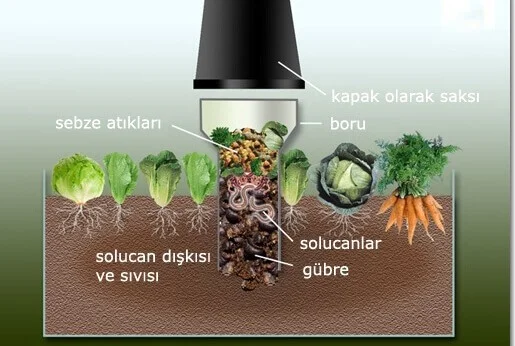 Solucan Gübresi Kulesi Nasıl Yapılır?