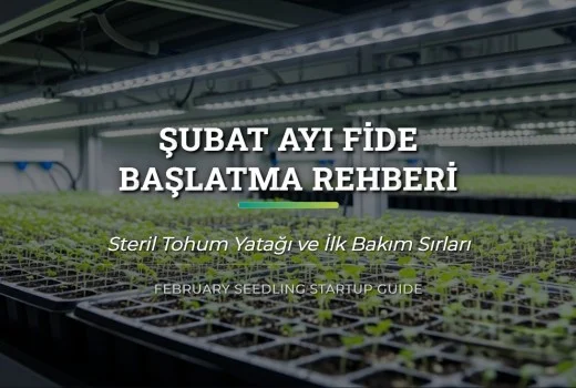 Şubat Ayı Fide Başlatma Rehberi: Steril Tohum Yatağı ve Bakım