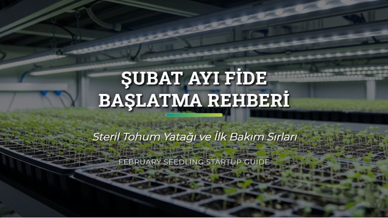 Şubat Ayı Fide Başlatma Rehberi: Steril Tohum Yatağı ve Bakım